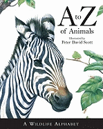 A-Z of All Animals. Libby Hamilton