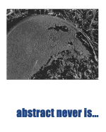 Abstract Never Is