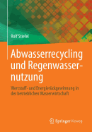 Abwasserrecycling Und Regenwassernutzung: Wertstoff- Und Energierckgewinnung in Der Betrieblichen Wasserwirtschaft