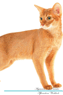 Abyssinian Cat Affirmations Workbook Abyssinian Cat Presents: Positive and Loving Affirmations Workbook. Includes: Mentoring Questions, Guidance, Supporting You.