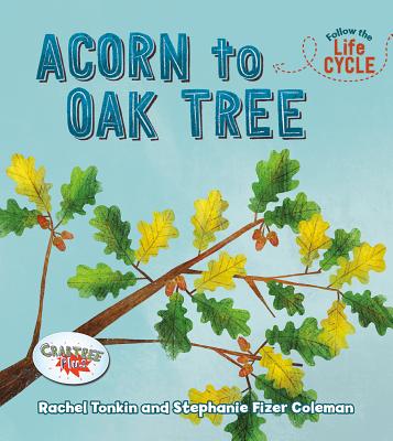Acorn to Oak Tree - Tonkin, Rachel