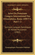 Actes Du Douzieme Congres International Des Orientalistes, Rome 1899 V3, Part 1-2: Sections, Langues Semitiques Et Monde Musulman (1902)