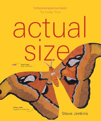 Actual Size - 