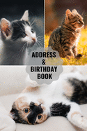 Address & Birthday Book: Large Print - Cat Cover - Address Book for Names, Addresses, Phone Numbers, E-mails and Birthdays