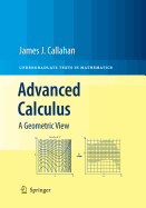 Advanced Calculus: A Geometric View