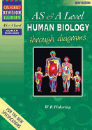 Advanced Human Biology Through Diagrams