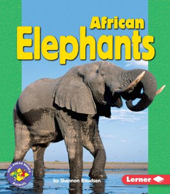 African Elephants - Knudsen, Shannon