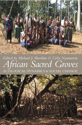 African Sacred Groves: Ecological Dynamics and Social Change - Sheridan, Michael J (Editor), and Nyamweru, Celia (Editor)