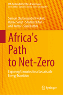 Africa's Path to Net-Zero: Exploring Scenarios for a Sustainable Energy Transition
