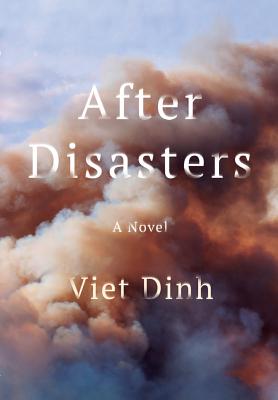 After Disasters - Dinh, Viet