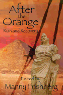 After the Orange: Ruin and Recovery