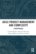 Agile Project Management and Complexity: A Reappraisal