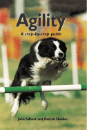 Agility: A Step-By-Step Guide