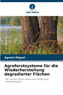 Agroforstsysteme fr die Wiederherstellung degradierter Flchen