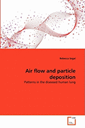 Air Flow and Particle Deposition