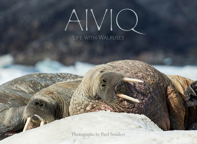Aiviq: Life with Walruses - Souders, Paul (Photographer)