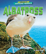 Albatross