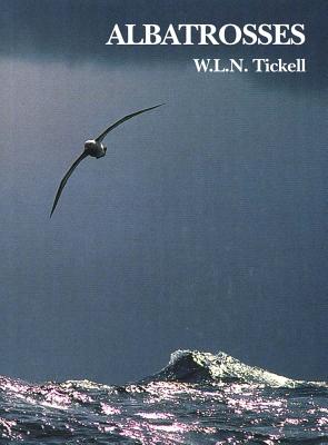 Albatrosses - Tickell, W L N