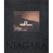 Alec Soth: Niagara