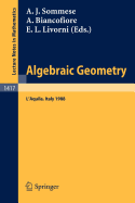 Algebraic Geometry: Proceedings of the International Conference, Held in l'Aquila, Italy, May 30 - June 4, 1988