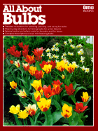 All about Bulbs