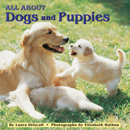 All about Dogs and Puppies