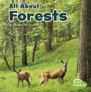All about Forests
