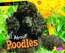 All about Poodles
