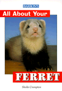 All about Your Ferret