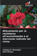 Allevamento per la resistenza all'avvizzimento e al marciume radicale nel ricino