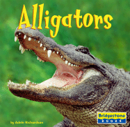 Alligators