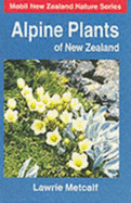 Alpine plants of New Zealand