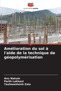 Amlioration du sol  l'aide de la technique de gopolymrisation