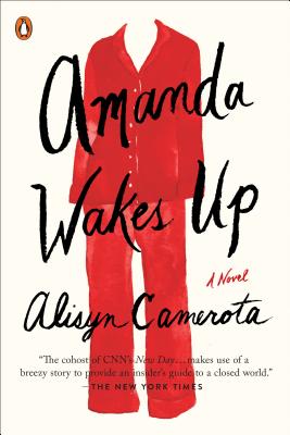 Amanda Wakes Up - Camerota, Alisyn