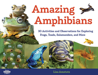 Amazing Amphibians: 30 Activities and Observations for Exploring Frogs, Toads, Salamanders, and More Volume 6 - Amstutz, Lisa J