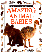 Amazing Animal Babies