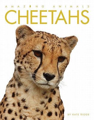 Amazing Animals: Cheetahs - Riggs, Kate