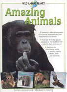 Amazing Animals