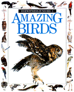 Amazing Birds