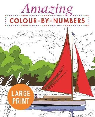 Amazing Colour-by-Numbers Large Print - Arcturus Publishing Limited