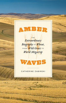 Amber Waves: The Extraordinary Biography of Wheat, from Wild Grass to World Megacrop - Zabinski, Catherine