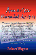 America Revealed as It Is