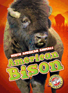 American Bison