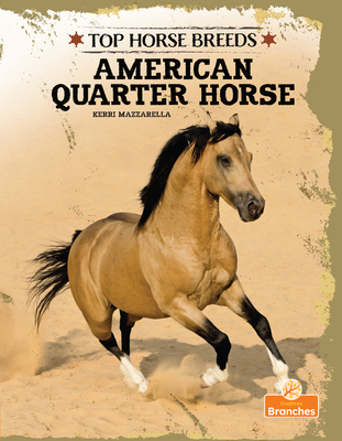 American Quarter Horse - Mazzarella, Kerri