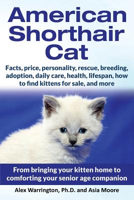 American Shorthair Cat: From bringing your kitten home to comforting your senior age companion - Warrington, Alex, and Moore, Asia