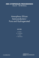 Amorphous Silicon Semiconductors - Pure and Hydrogenated: Volume 95