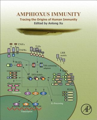 Amphioxus Immunity: Tracing the Origins of Human Immunity - Xu, An-Long (Editor)