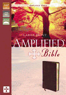 Amplified Large Print Bible-AM