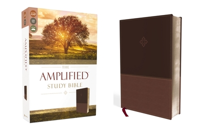Amplified Study Bible, Imitation Leather, Brown - Zondervan