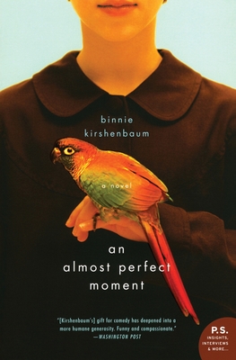 An Almost Perfect Moment - Kirshenbaum, Binnie